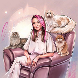 Olesami | Hearthstone