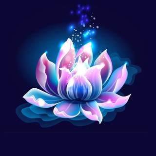 Моя Вселенная