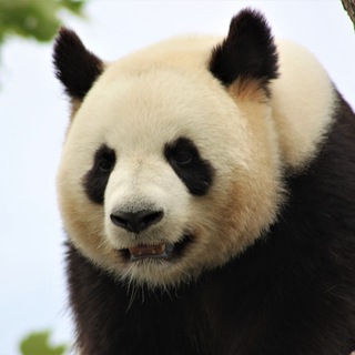 Роман Т.👨‍👩‍👧‍👦🇷🇺🇨🇳