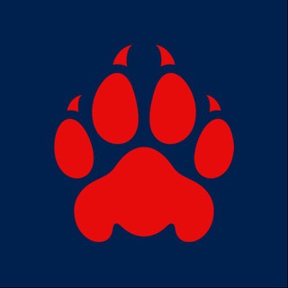 Красная |Z| рысь