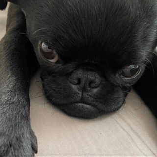 стасин домик ❤️‍🩹