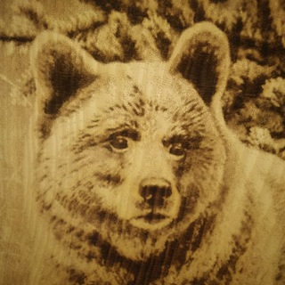 Сармат и кедры