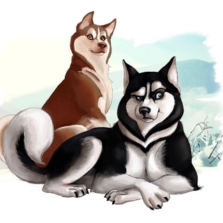 Я был нормальным два хася назад