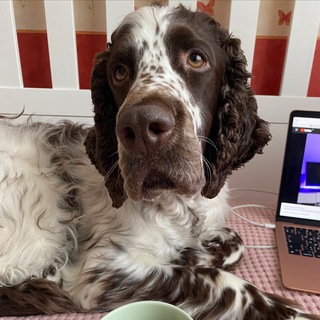 Госпожа главный редактор