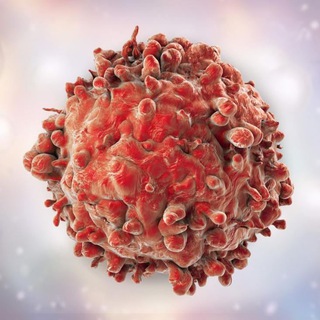 Онколог • Блог Врача