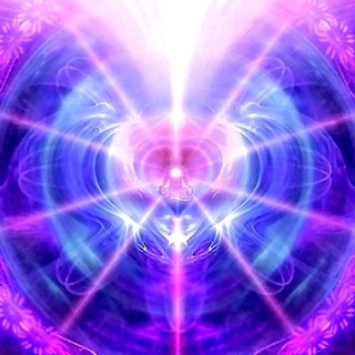 Звуки Сердца