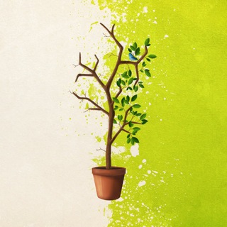 OPINIO | Фотопаблик с душой