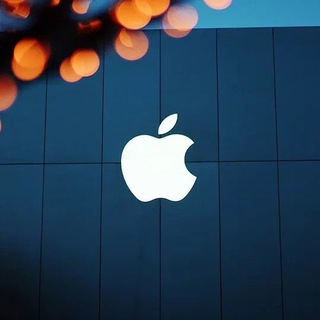Electric Gallery товар