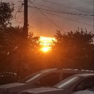 подписку на @karnawrr