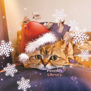 Peonies_library 🌺