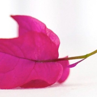 Остеопат на Бали, мануальный терапевт на Бали, Эви Сударто. Телеграм канал.