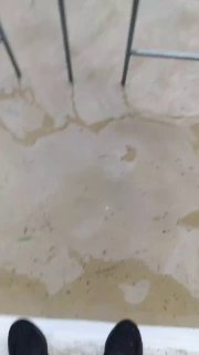 Осторожно, новости