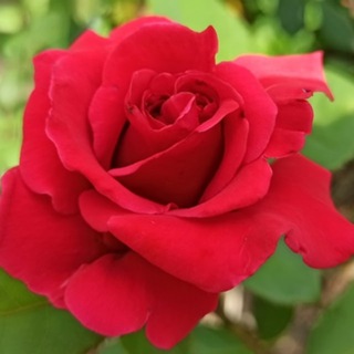 Открытки с добрыми пожеланиями