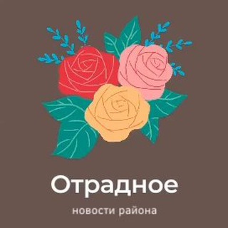 Отрада в Отрадном