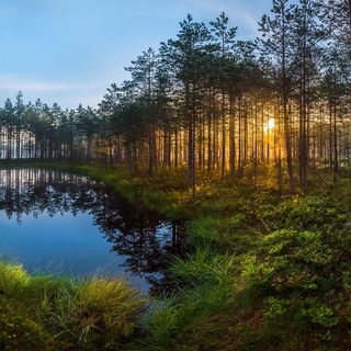 Из Питера на выходные