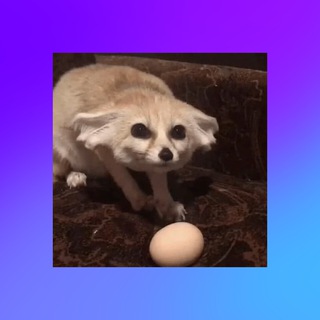 Мысли OVERLINK'а