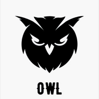 owl 🦉
