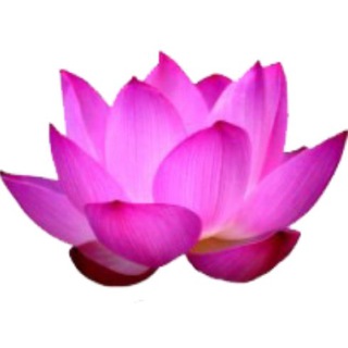 Ведическая Астрология