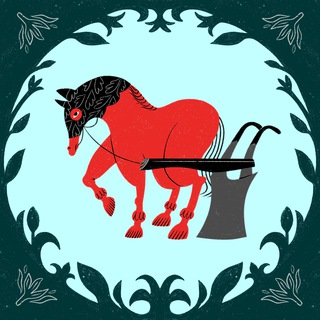 Пахота — карьера в digital