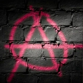 Жизнь панка 🤟