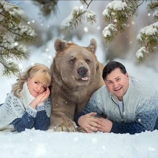 Stepan🐻Savva🐻TheBear