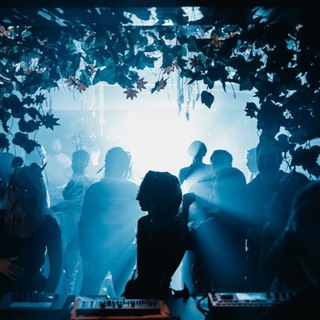 Папин организатор