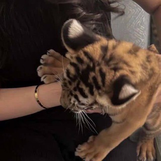 𝓟𝓪𝓻𝓲𝓳𝓪𝓪𝓷🤍