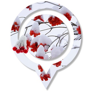 Культурные пространства Липецка