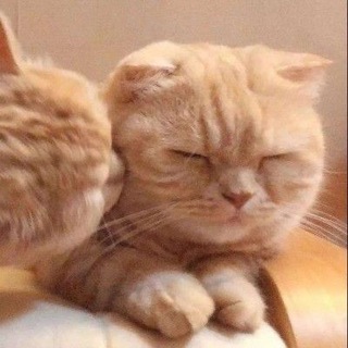 Парные авы ♛/paired avatars