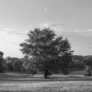 Фото из прошлого