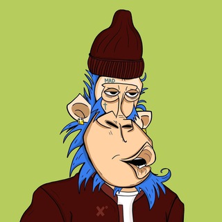 Паша про крипту и NFT 💰