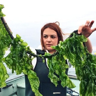 Водоросли🌱 Твой шаг к здоровью