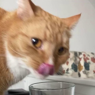 Персик Пятницкий