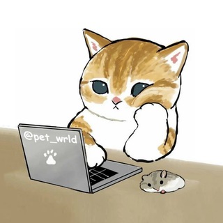 Мир Животных