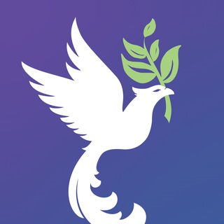 Студия Феникс