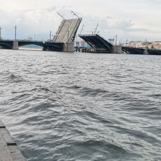 Феникс Клуб 