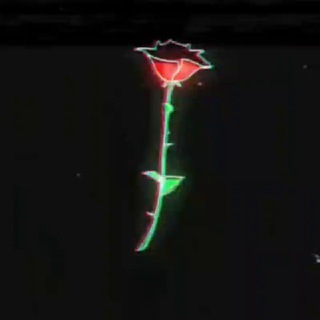 🌸phonk🇺🇦potosovka🌸