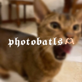 𝖕𝖍𝖔𝖙𝖔𝖇𝖆𝖙𝖑𝖘🫶🏻