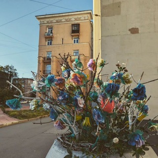 Фотограф без эксперта