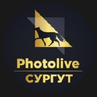 Photolive Сургут