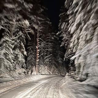 Дома не сидится