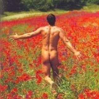 Пикчуречная