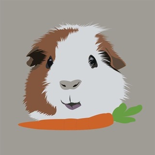 Морские свинки - Свинландия