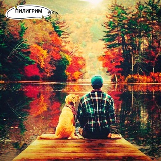 Заметки пилигримма