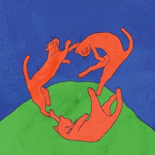 Это Питер, мяу!