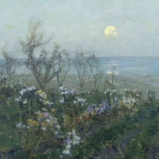 тень архиватора