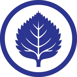 РСМ | Приморский край