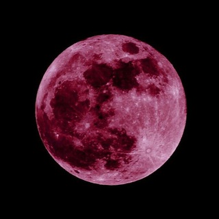 КЛУБ ПОЛУНОЧНИКОВ🕯️