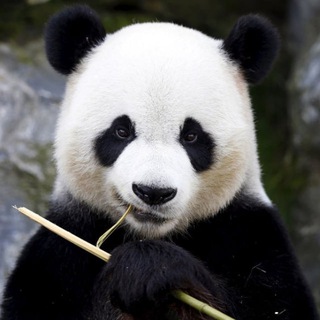 ~Планета Животных~