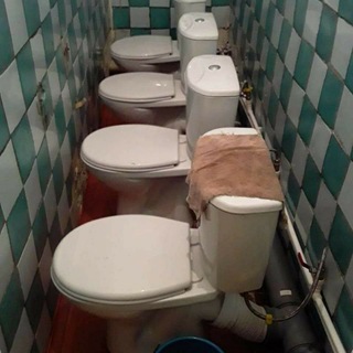 Туалетный юмор как Платформа 🚽